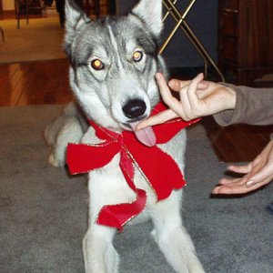 Thor Fingerlicking good Xmas