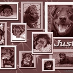 Justus Page