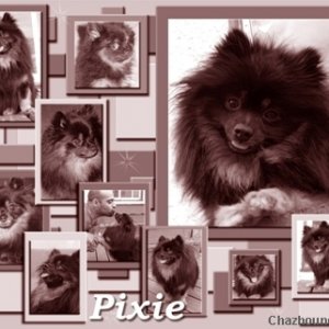 Pixie Page