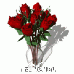 dozen_red_roses