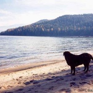 Bonnie_at_lake