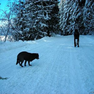 jose_loves_to_eat_snow