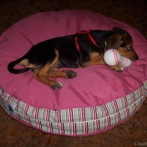 Playing in her bed