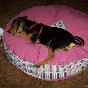 Playing in her bed 2