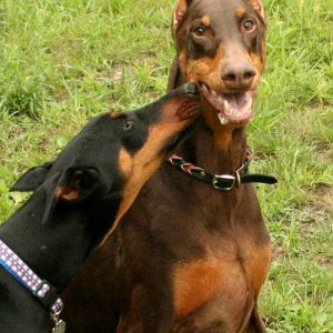 Maya Gives Ilsa a Kiss