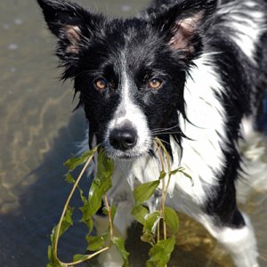 Eve with seaweed