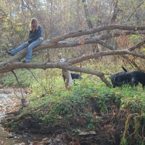 me in a tree