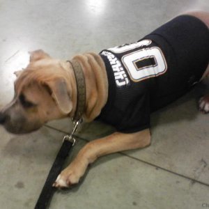 Tuts Charger jersey