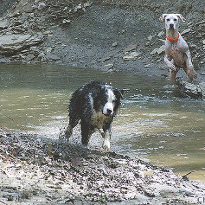 creek romp march 2008