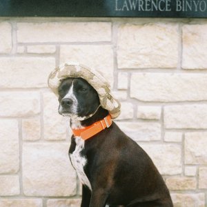 pepperpot_at_war_memorial