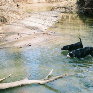 virgo_and_sawyer_in_the_creek