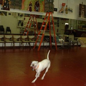 victor at the paul messner puppet studio