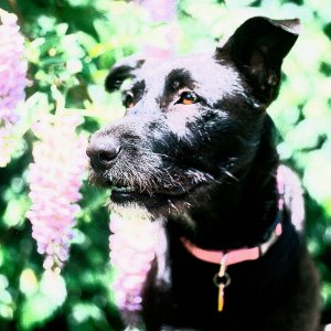 maggie_may_film_grain