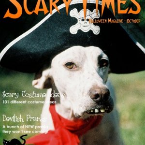 victors pirate magazine