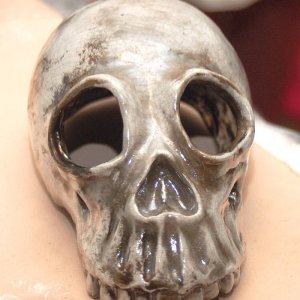 zoomer's skull