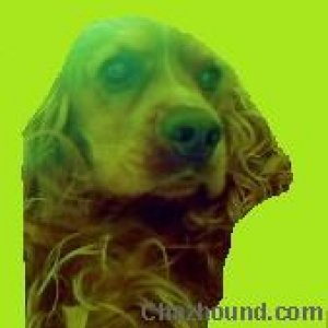 green_bim