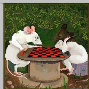 finally_finished_rats_play_copy