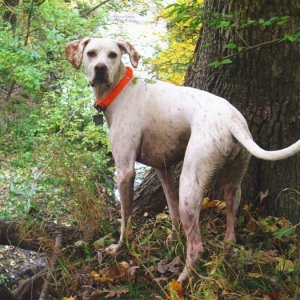 victor_on_lookout_point