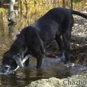 mary_blowing_bubbles_woods