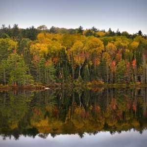 Autumn Reflection