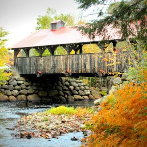 Fall Colours
