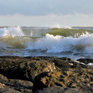 Atlantic Rollers