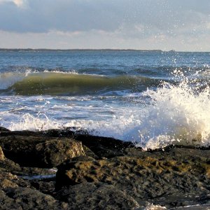 Watching the Waves Roll In