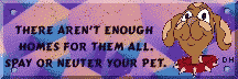 caring for dogs and canines
