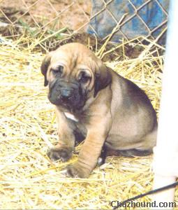 148scan0029.jpg