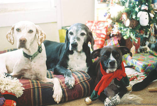 christmas_number_one.jpg