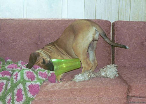 148Drinking_Problem_7_weeks_.jpg