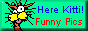 funny pictures