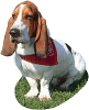 pet training